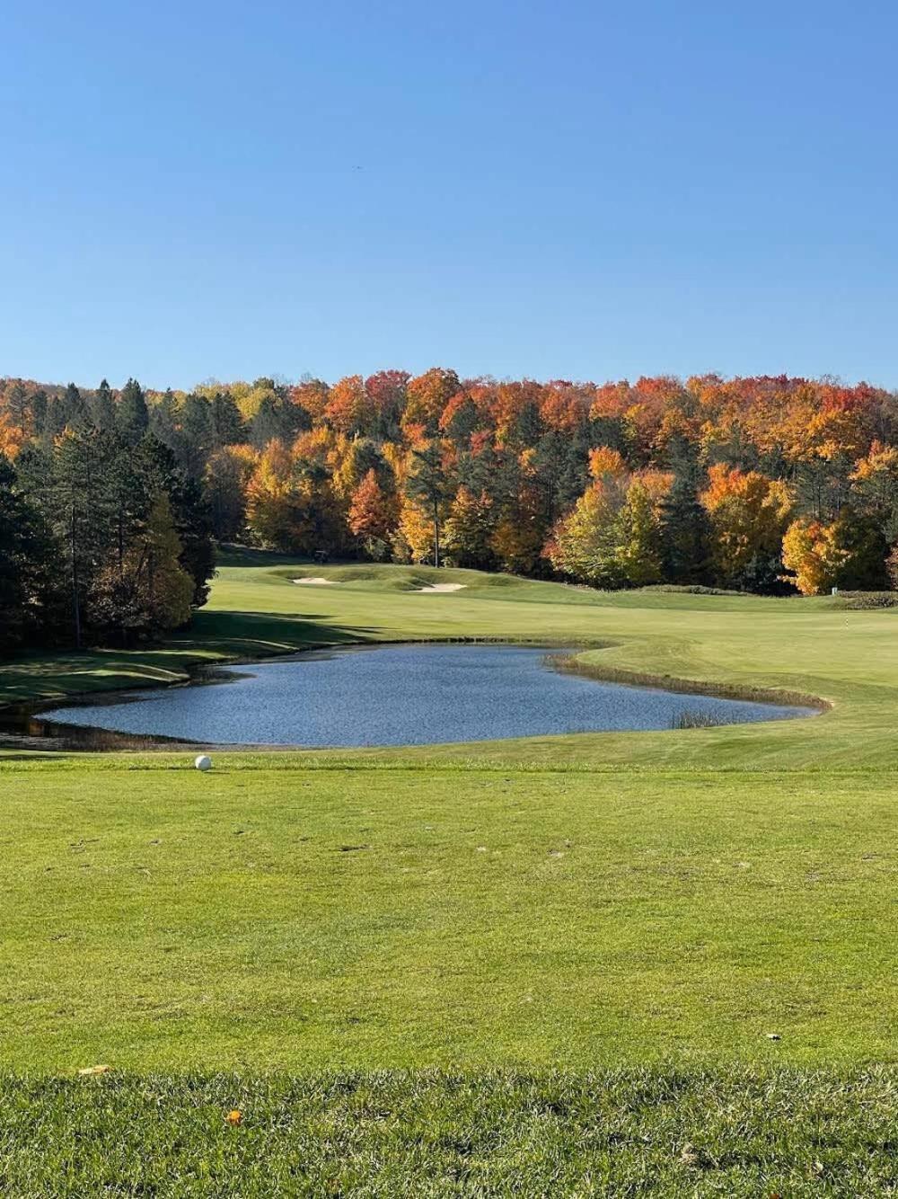 Shanty Creek, Condo, Golf ,Sleeps 4, Pets Welcome! Bellaire Zewnętrze zdjęcie